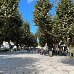 Back in Padrón