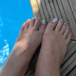 These little piggies got DUNKED