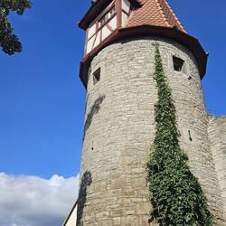 Im Fallmeisterturm von 1566 wohnte der Fallmeister, zuständig für die Entsorgung verstorbener Tiere