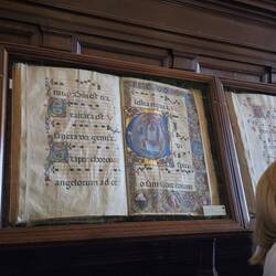 Die Piccolomini-Bibliothek.