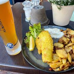 WuFi - Weißbier (alkoholfrei) und Fisch (Rotbarsch in Eihülle)