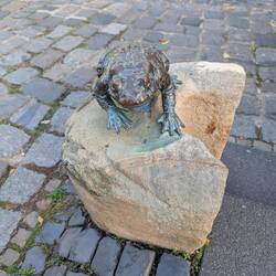 Oppenheimer Kröte