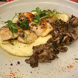 Coquilles St. Jacques mit Champignons