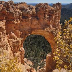 Natural Bridge