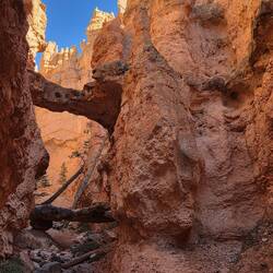 Two Bridges