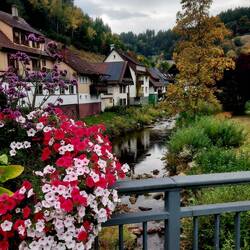 In Schönmünzach