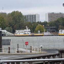 Blick über die Schelde