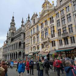 Gildehäuser am Grand-Place