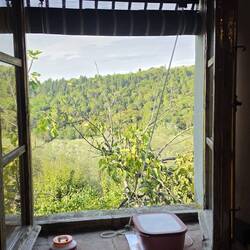 Blick aus der Küche.