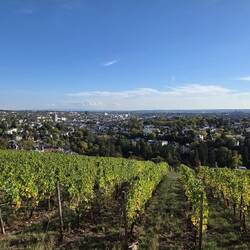 Ausblick vom Neroberg