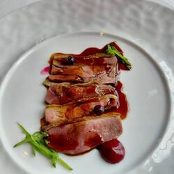 Duck spatchcock