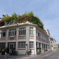 An abundant roof garden