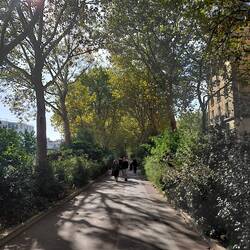 A beautiful treelined path up the middle of the main road, leading to the park