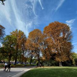 Autumn has arrived