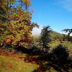 Herbststimmung
