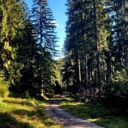 Fast auf 1000m Höhe
