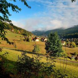 Schwarzwald😍