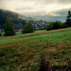 Die Sonne kämpft noch mit dem Nebel