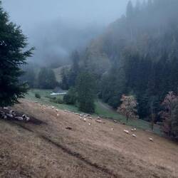 Beim Abmarsch noch Nebel