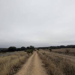 All 20km of it