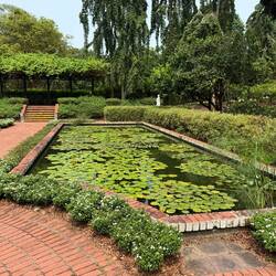 Impressionen aus dem botanischen Garten