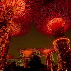 die Garden Rhapsody - Die öffentliche Licht- und Musikshow bei den Gardens by the Bay
