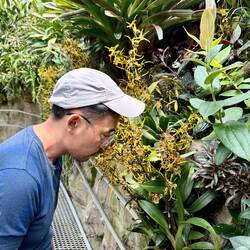 Impressionen aus dem Orchideen-Park