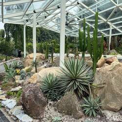 Impressionen aus dem botanischen Garten