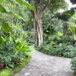 Impressionen aus dem botanischen Garten
