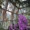 Impressionen aus dem Orchideen-Park