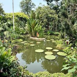 Impressionen aus dem botanischen Garten