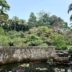 Impressionen aus dem botanischen Garten