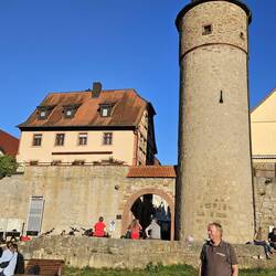 Abendsonne am Mainufer vor der Stadtmauer