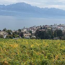 Hoch über dem Genfersee