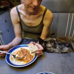 Alltäglicher Struggle: Naras Ohren nicht im Essen zu haben.