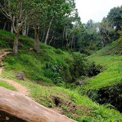 Eingang zum Monkey Forest