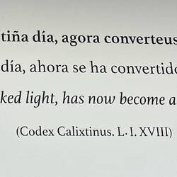 This quote was on the wall above the cash desk. The Codex is a 12th century guide to the Camino