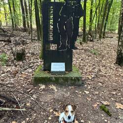 Und dann macht der kleine Doofmann das vor der Doofmann Figur 🫣