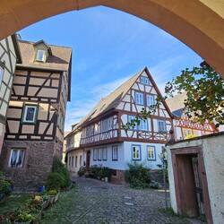 Kauzinergasse