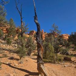 Am Anfang der Wanderung - hinauf zu den Window Arches