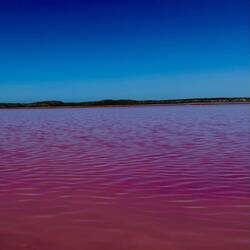 Pink Lagoon