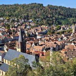 Blick von der Burg auf die Altstadtdächer von Wertheim