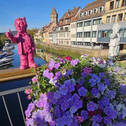 Bunte Zwerge überall in der Stadt: Kunstinstallation "Wertheimer Optimist" von O. Högl