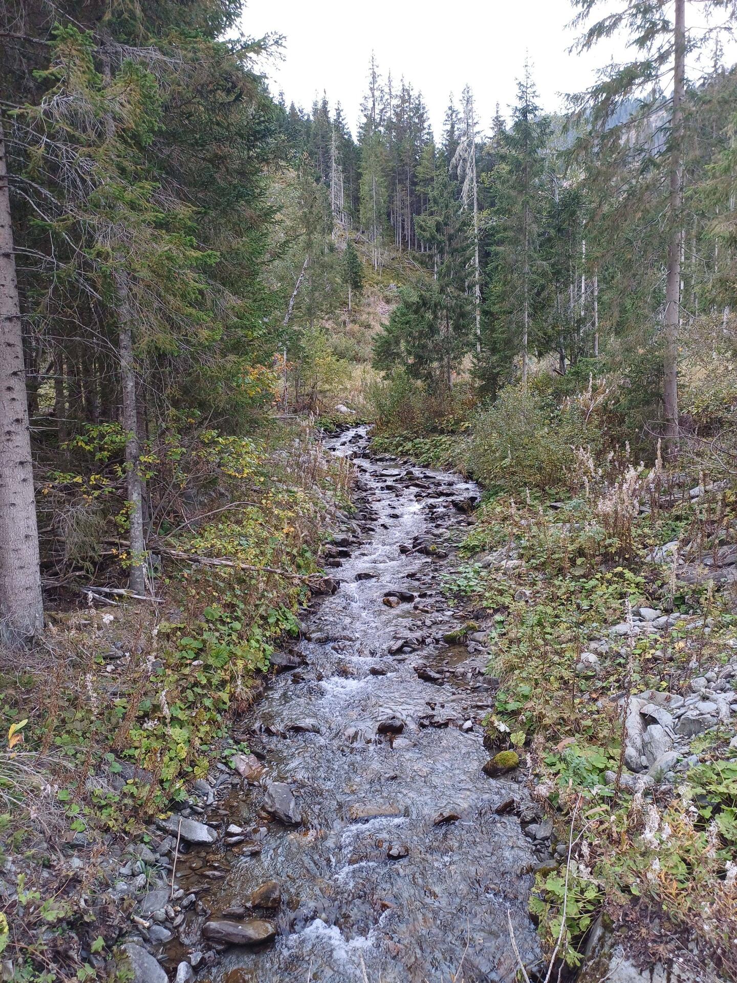 Durch den Wald an der Gail entlang
