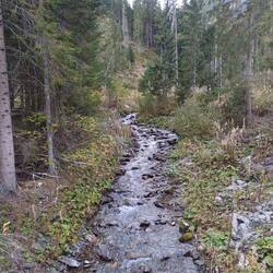 Durch den Wald an der Gail entlang