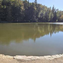 Waldsee