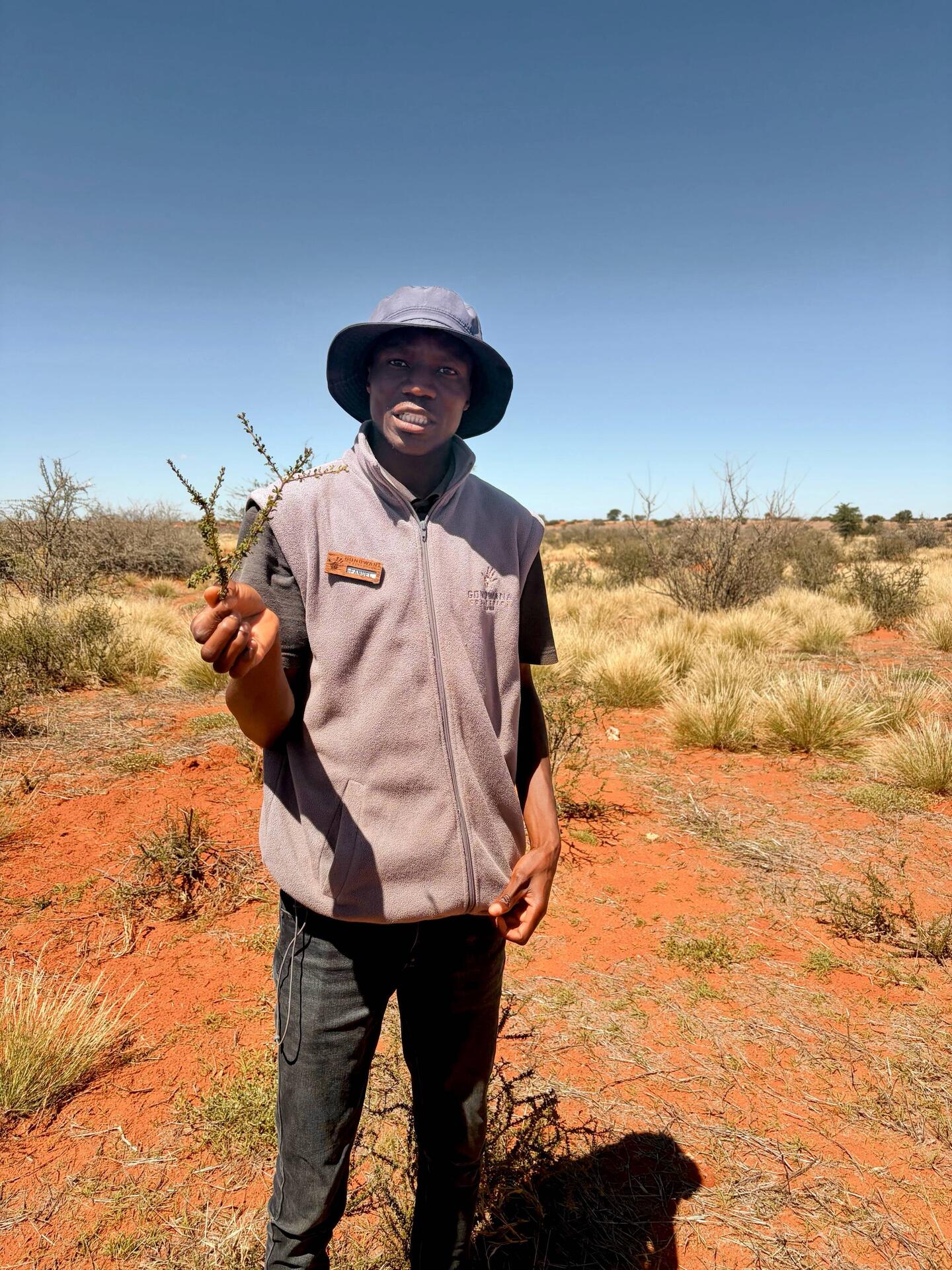 Fanuel führt uns zu Fuß durch die Kalahari