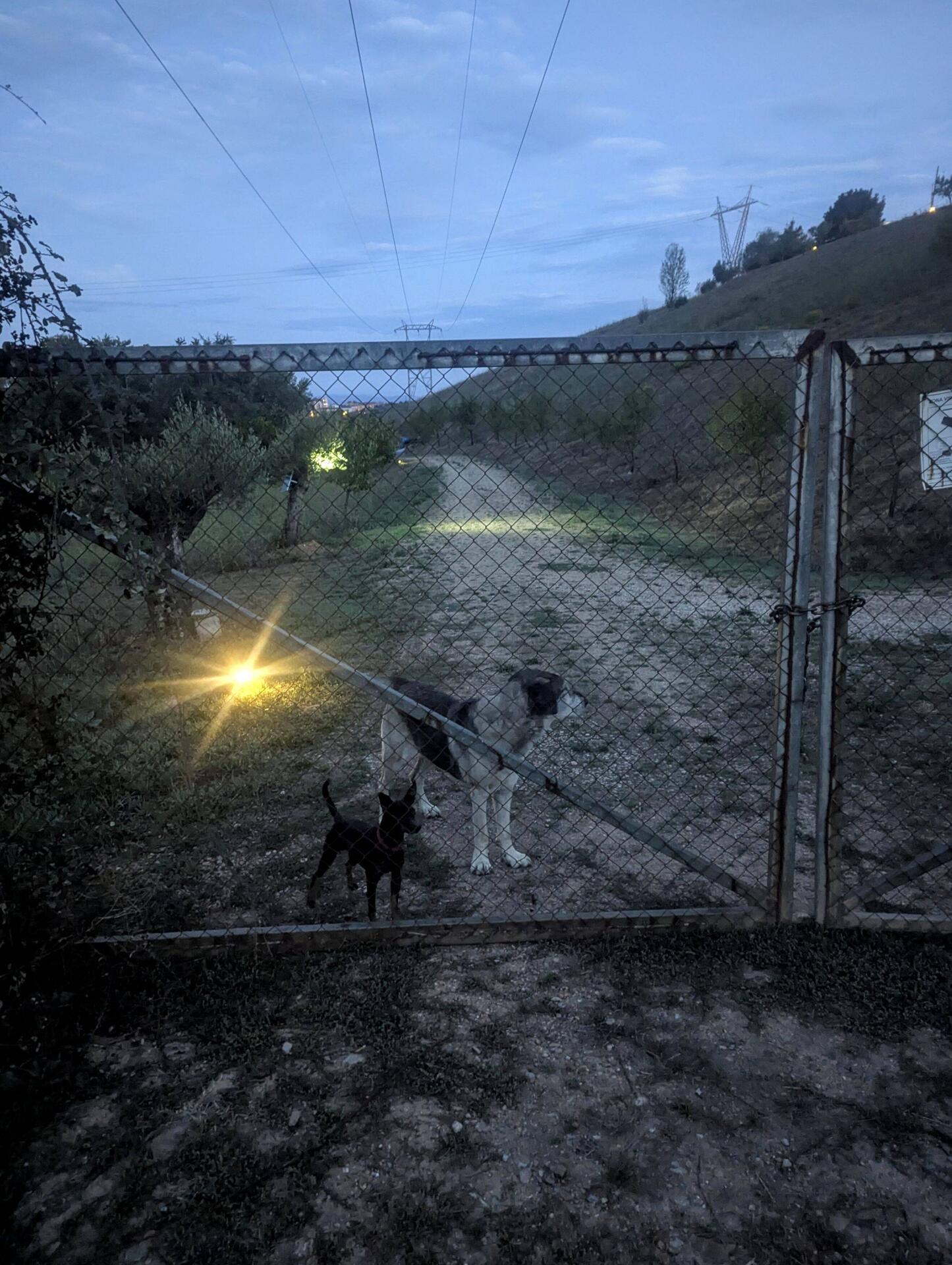 Little one was v yappy
