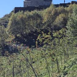 die Gergeti-Dreifaltigkeitskirche, unterhalb des Kasbek