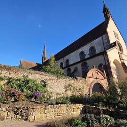 Kräutergarten
